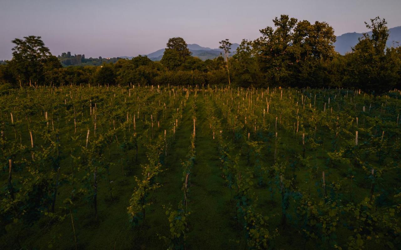 Menabde Winery Hotel Ozurget'i Exterior photo